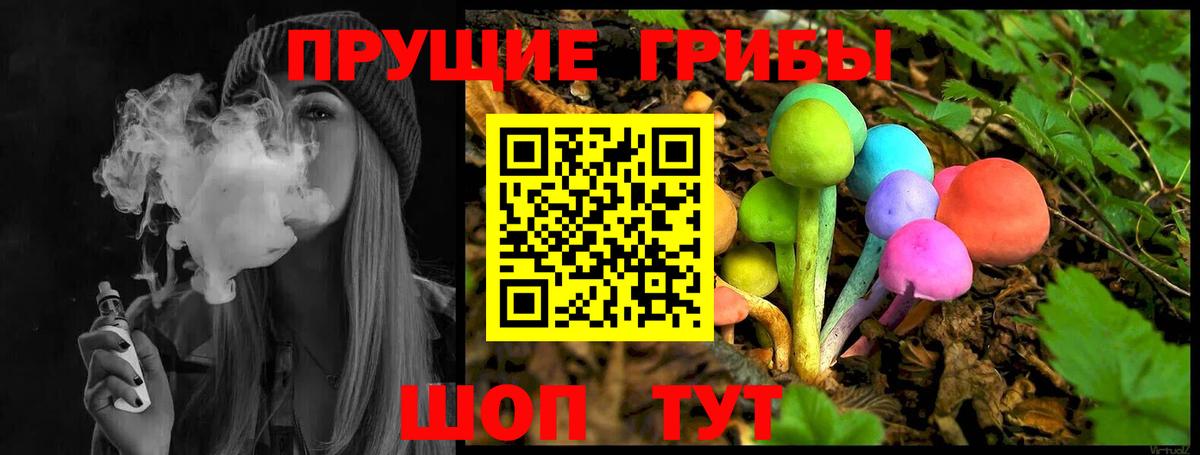 как найти наркотики  Галлюциногенные грибы MAGIC MUSHROOMS  Вход с VPN  Киржач 
